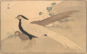 Bai xian, 1789. Creator: Kitao Masayoshi.