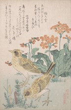 Skylarks and Primroses..., ca. 1805-10. Creator: Kubo Shunman.