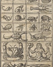 Essempio di recammi, page 11 (recto), 1530. Creator: Giovanni Antonio Tagliente.