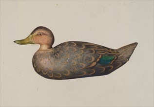 Decoy Duck, 1935/1942. Creator: Harriette Gale.