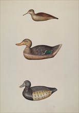 Three Decoy Ducks, c. 1937. Creator: Harriette Gale.