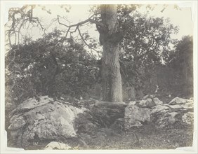 Forest and Rocks, Fontainebleau, 1860s. Creator: Achille Quinet.