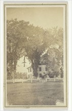 Miss Brown's house and curious elm cross., mid-late 19th century.  Creator: H. O. Bly.