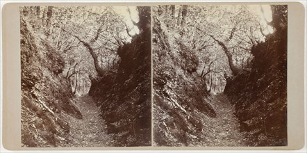 Untitled (Lydford), 1860s. Creator: Unknown.