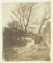 Mrs. Craik Seated Outdoors, 1850/59. Creators: Unknown, Benjamin Mulock.