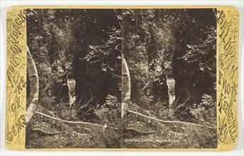 Ausable Chasm - Mystic Gorge, late 19th century. Creator: Baldwin Photo.