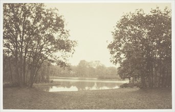 Untitled, c. 1850. [Trees near water in the Bois de Boulogne, a park in Paris].  Creator: Charles Marville.