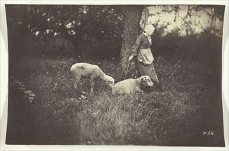 Shepherdess Leaning Against a Tree, with Two Sheep, 1870. Creator: Giraudon's Artist.