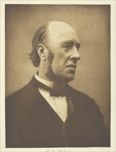 William Edward Hartpole Lecky, c. 1893. Creator: Henry Herschel Hay Cameron.