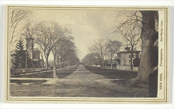 Hillhouse Avenue, 19th century.  Creator: Peck Brothers.