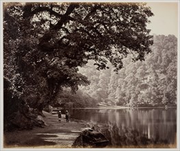 Untitled [trees near water, India], 1870s.  Creator: Samuel Bourne.