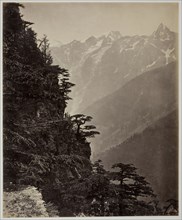 Untitled [hillside and mountains], c. 1865. Creator: Samuel Bourne.