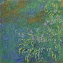 Irises, 1914/17. Creator: Claude Monet.