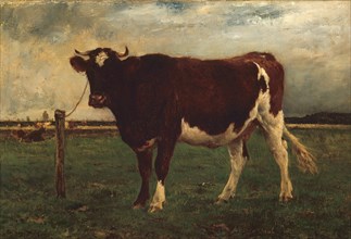 Study of a Cow, 1870/90. Creator: Emile van Marcke de Lummen.