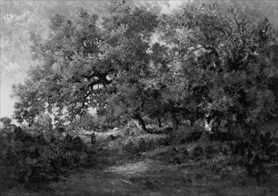 Landscape, c. 1860. Creator: Theodore Rousseau.