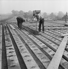 Construction of the Birmingham to Preston Motorway (M6), Staffs, 20/09/1961 Creator: John Laing plc.