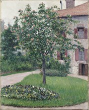 Tree in Blossom, 1882. Creator: Caillebotte, Gustave (1848-1894).