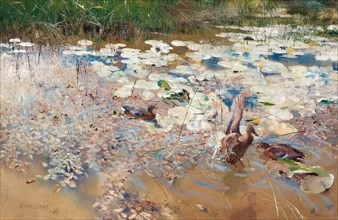 Wild Ducks, 1887. Creator: Liljefors, Bruno Andreas (1860-1939).