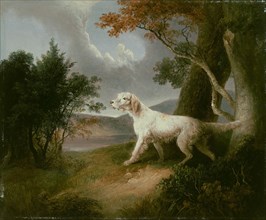 Landscape with Dog, 1832. Creator: Thomas Doughty.