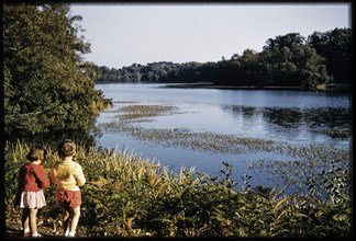 Virginia Water, Egham, Runnymede, Surrey, 1959. Creator: Norman Barnard.