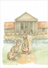 Rabbits in front of Fishbourne Roman Palace, Fishbourne, Chichester, West Sussex, 2019. Creator: Judith Dobie.