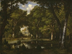 Pond in the Woods, 1862. Creator: Narcisse Virgile Diaz de la Pena.