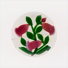 Paperweight, France, 19th century. Creator: Baccarat Glasshouse.