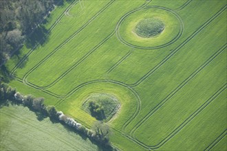 Two bowl barrows showing as earthworks on North Hill, Winterbourne Steepleton, Dorset, 2015.