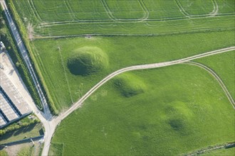 Group of round barrows, showing as earthworks, on Shorn Hill, near Martinstown, Dorset, 2015.