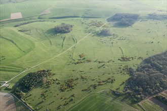 Prehistoric to post-medieval settlement, cultivation, industrial and funerary remains on Fyfield Down, Wiltshire, 2015.