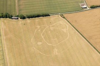 Iron Age double ditched enclosure crop mark, near South Wonston, Hampshire, 2015.