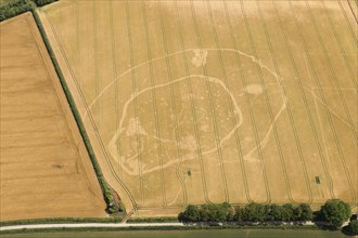 Iron Age double ditched enclosure crop mark, near South Wonston, Hampshire, 2015.