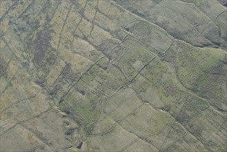 Medieval/post medieval shieling earthwork on Bells Moor, Northumberland, 2016. Creator: Historic England.