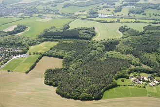 Weedonhill Wood, Shardeloes, Amersham, Buckinghamshire, 2018. Weedonhill Wood, the principal area where Humphry Repton's plans for the landscape park at Shardeloes were executed. These included enhanc...