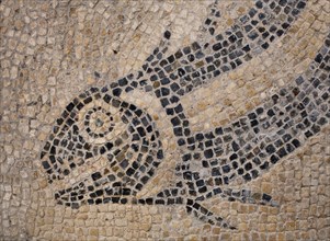 Mosaic, Great Witcombe Roman Villa, Gloucestershire, 2018. Detail of a mosaic pavement on the villa site, depicting the head of a fish.