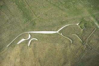 The Uffington White Horse chalk hill figure, Whitehorse Hill, Oxfordshire, 2019. Creator: Damian Grady.