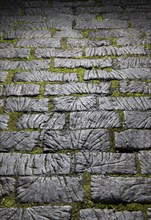 Timber setts, King Street, Rochdale, Greater Manchester, 2019. Detail of the beechwood setts on the north part of King Street, between Fleece Street and South Parade.