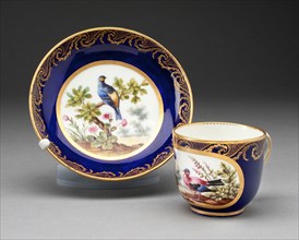 Cup and Saucer, Sèvres, 1772.