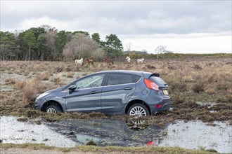 Ford Fiesta accident in New Forest, 2020.