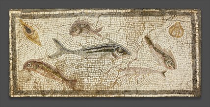 Mosaic Floor Panel Depicting Marine Life, 200-230. Creator: Unknown.