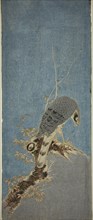 Falcon Perched on a Tree, c. 1785. Creator: Isoda Koryusai.