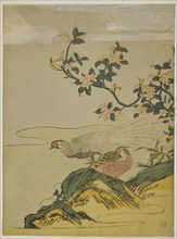 Pheasants under Branch of Peach Blossoms, c. 1764/75. Creator: Isoda Koryusai.