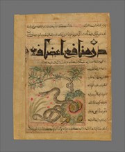 Viper in a Rocky Garden from Manafi' al-Hayawan (On the Usefulness of Animals) of Ibn..., c1300. Creator: Unknown.