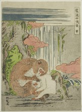 Monkey (Saru), from the series "Fashionable Twelve Signs of the Zodiac (Furyu...", c. 1773/75. Creator: Isoda Koryusai.