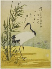 Crane, Bamboo and Iris, c. 1775. Creator: Isoda Koryusai.