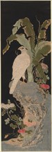 The White Falcon, 1780. Creator: Isoda Koryusai.