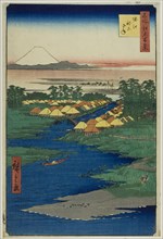 Horie and Nekozane, from the series "One Hundred Famous Views of Edo (Meisho Edo hyakkei)”, 1856. Creator: Ando Hiroshige.