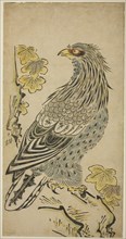 A Hawk on a Cliff near a Kiri Tree, c. 1716. Attributed to Torii Kiyomasu I.