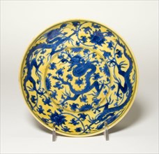 Dish with Dragons and Lotus Flowers, Qing dynasty (1644-1911), Kangxi period (1622-1722).
