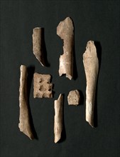 Oracle Bones (76 total), Shang dynasty (about 1600-1046 BC). Segments of turtle plastrons and bones of oxen, polished, burned, with carved inscriptions.